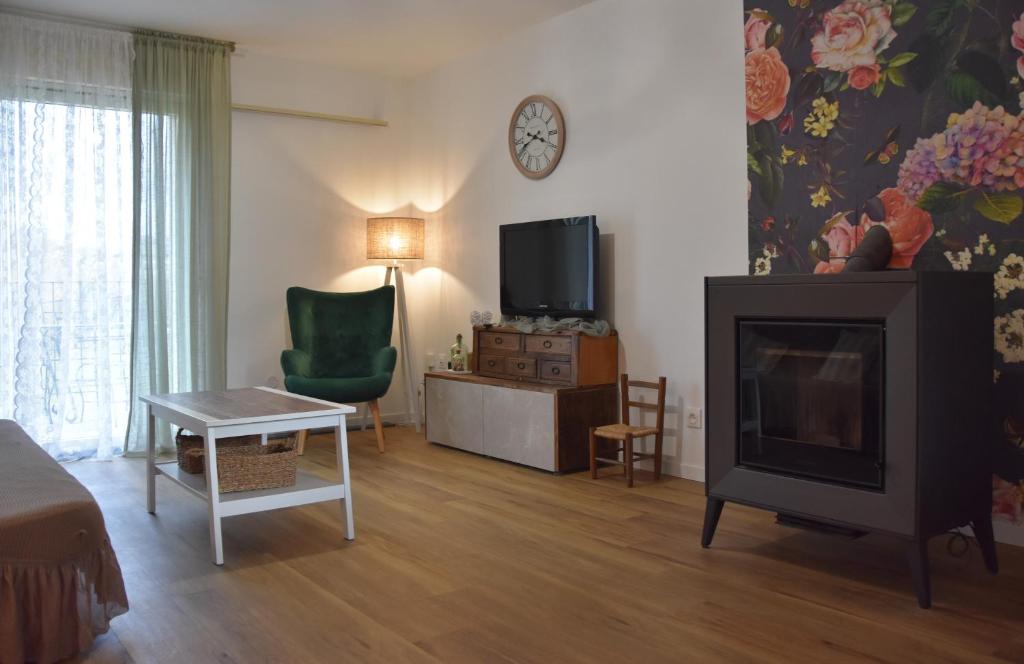 un salon avec une cheminée et une télévision dans l'établissement Yvonnette Cottage, à Salles-Courbatiès