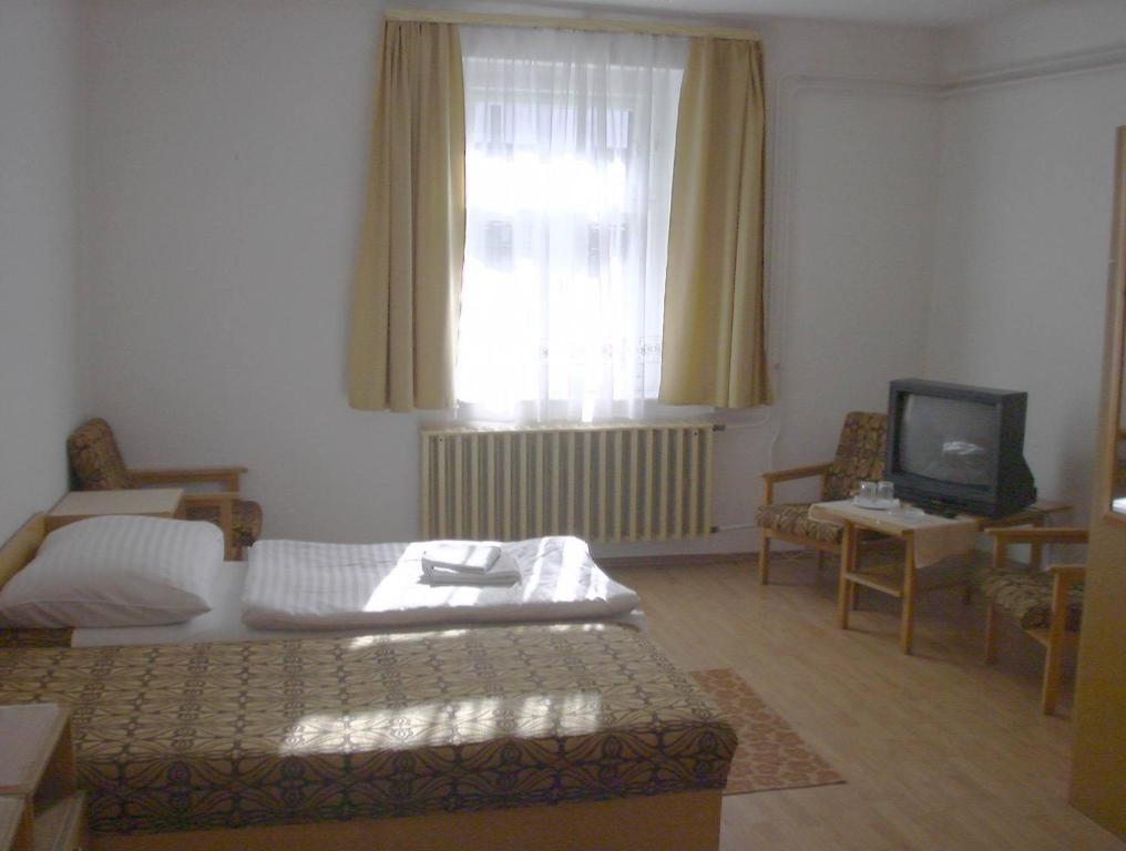 ein Wohnzimmer mit einem Sofa, einem TV und einem Fenster in der Unterkunft Corvin Panzio in Győr