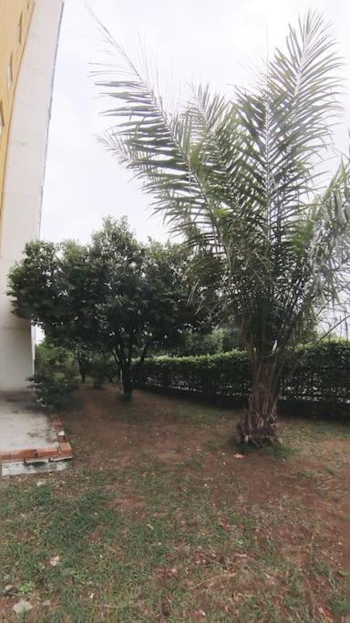 Zahrada ubytování Confort y Estilo ideal en Neiva