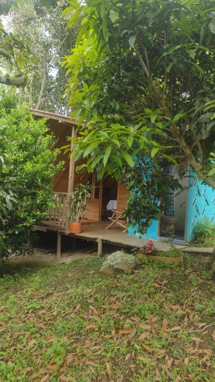 Jardín al aire libre en VILLA DE LOS ANGELES GLAMPING