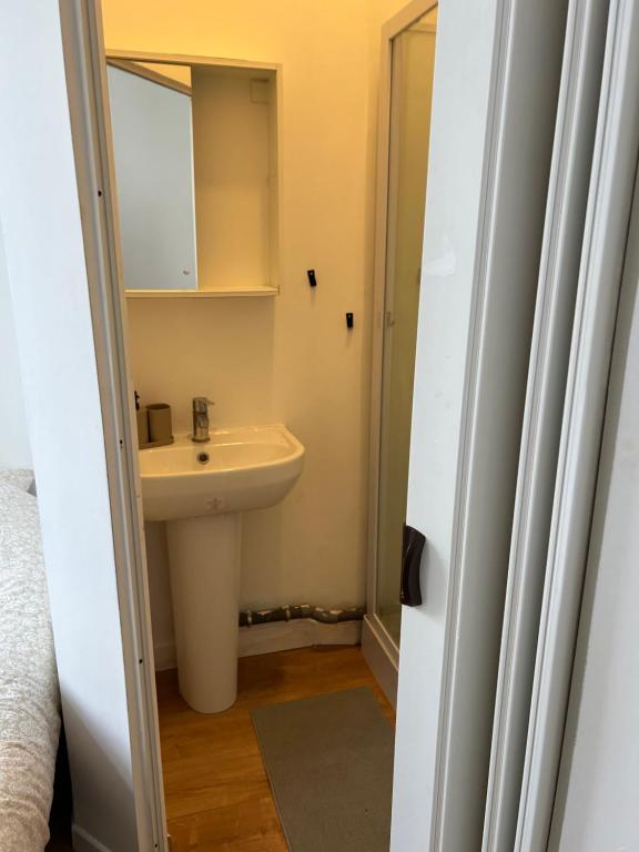 une salle de bain avec un lavabo et un miroir dans l'établissement Appartement cosy Armentières gare, à Armentières