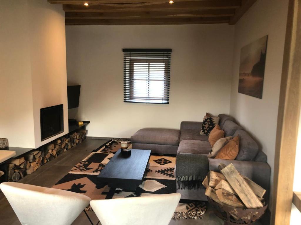 TV a/nebo společenská místnost v ubytování Le Chalet De Saint-Hubert