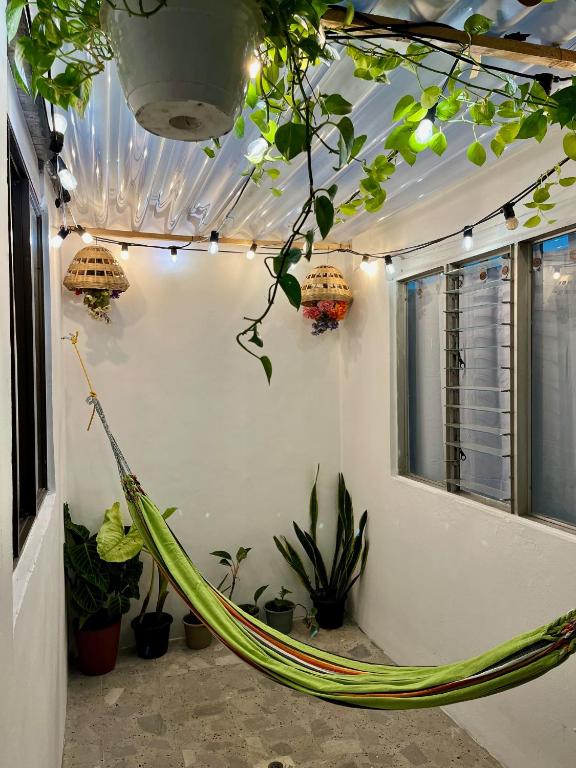 Zahrada ubytování Entre Jardines