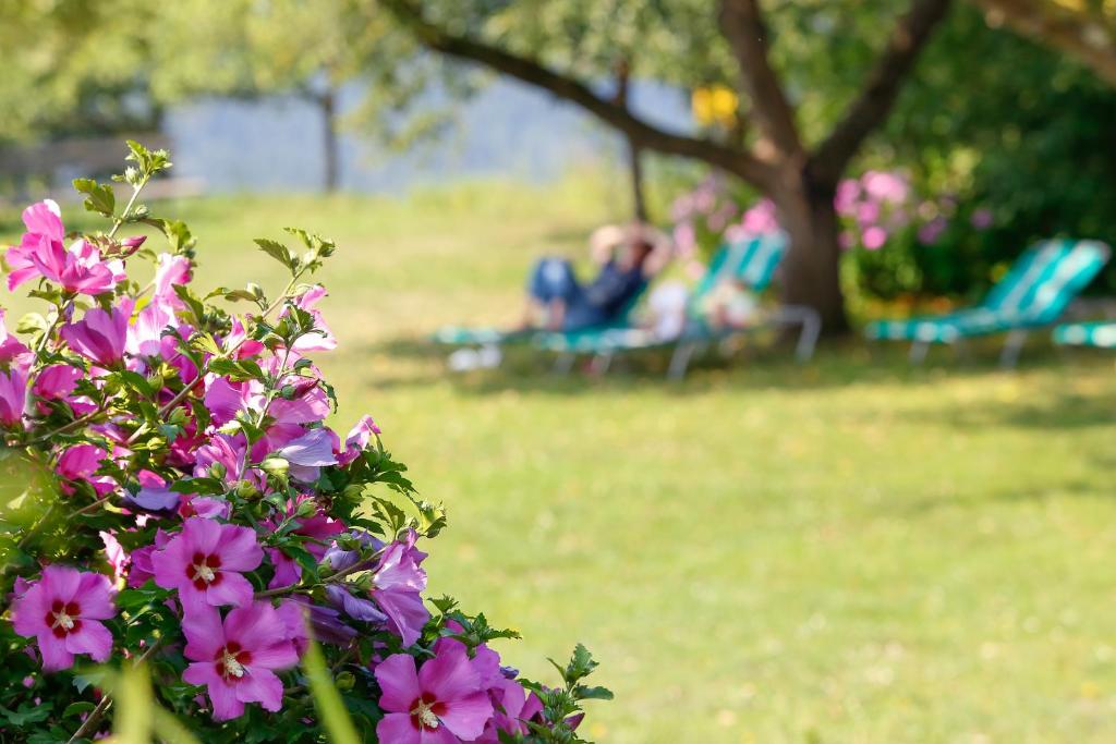 Zahrada ubytování Gasthaus Hotel Höhenwirt