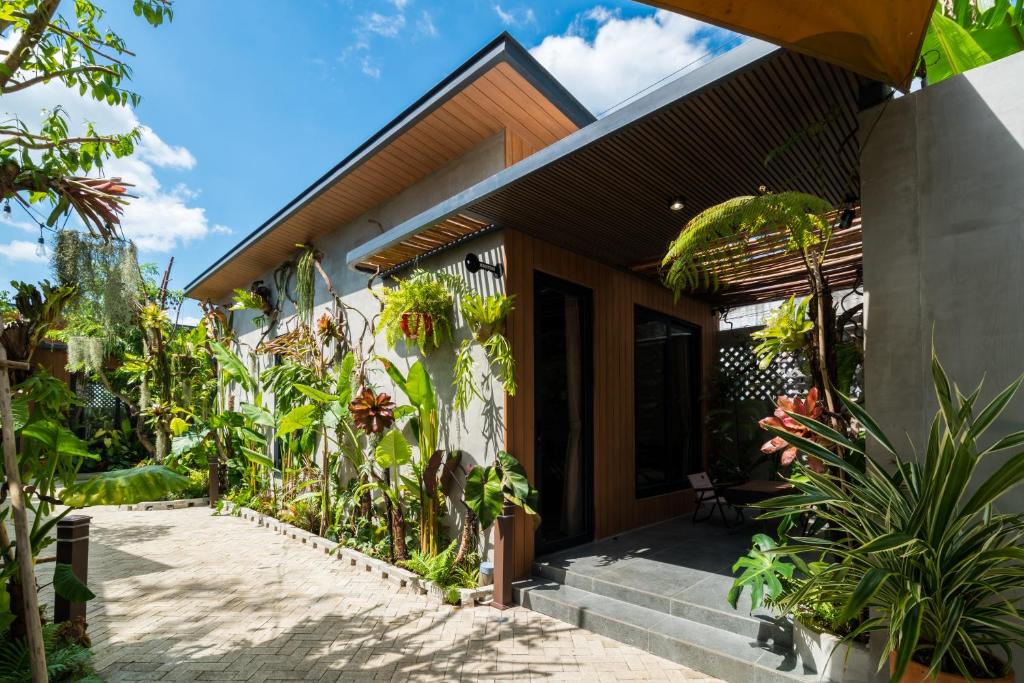 Vườn quanh Eco House Villa