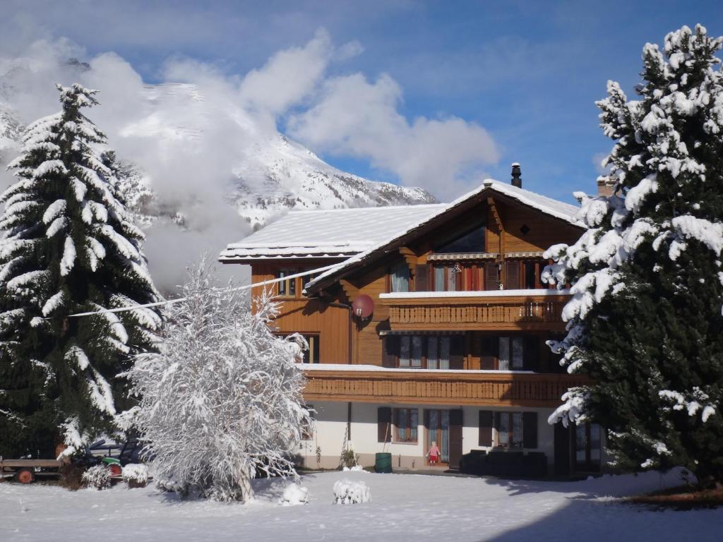 Chalet Petunia v zime