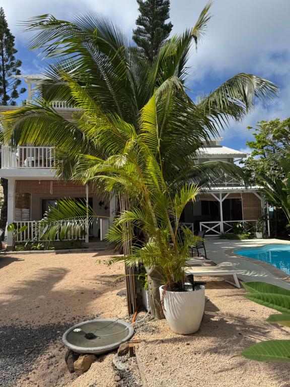 Blue Paradise Villa & Apartments - 1