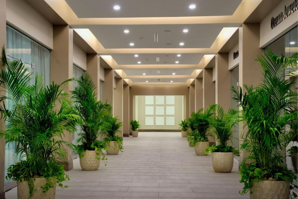 an empty hallway with potted plants in a building at JW Marriott St Maarten Beach Resort & Spa in Dawn Beach