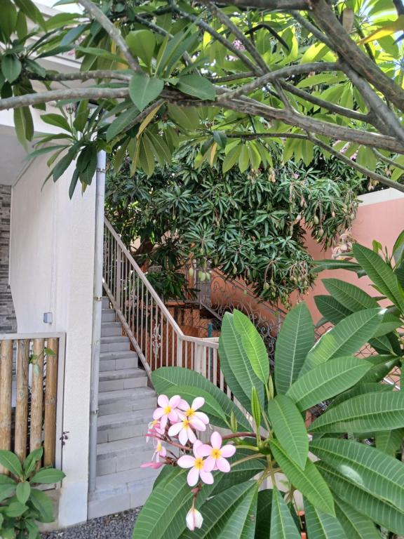 Zahrada ubytování Villa Kiara