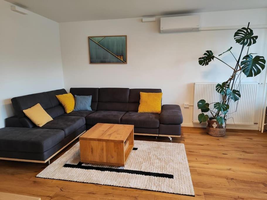 Posezení v ubytování Modern apartment Konjice