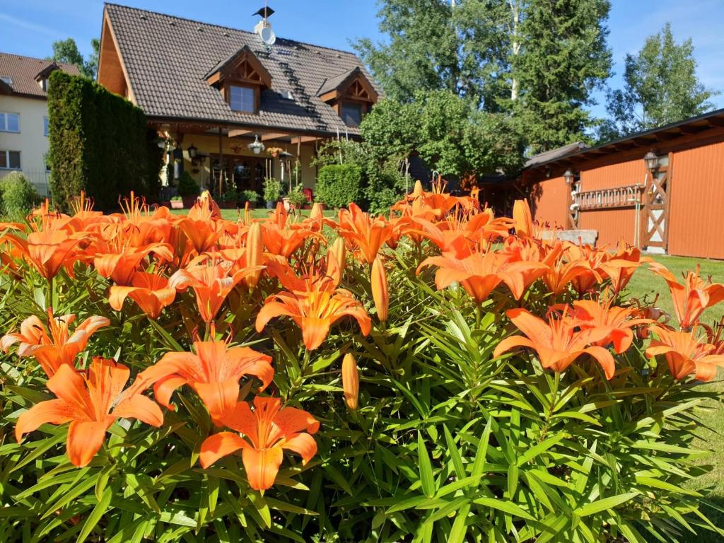 Zahrada ubytování Apartmán Merci