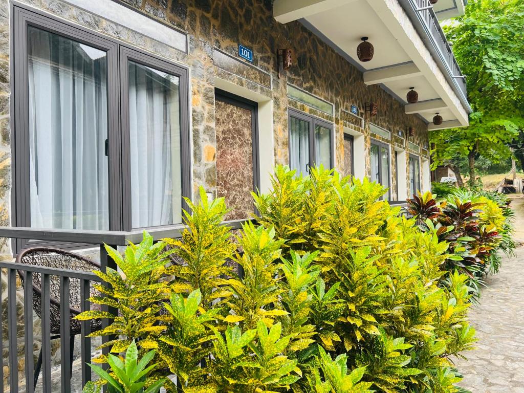 Vườn quanh Mai Châu Happy House