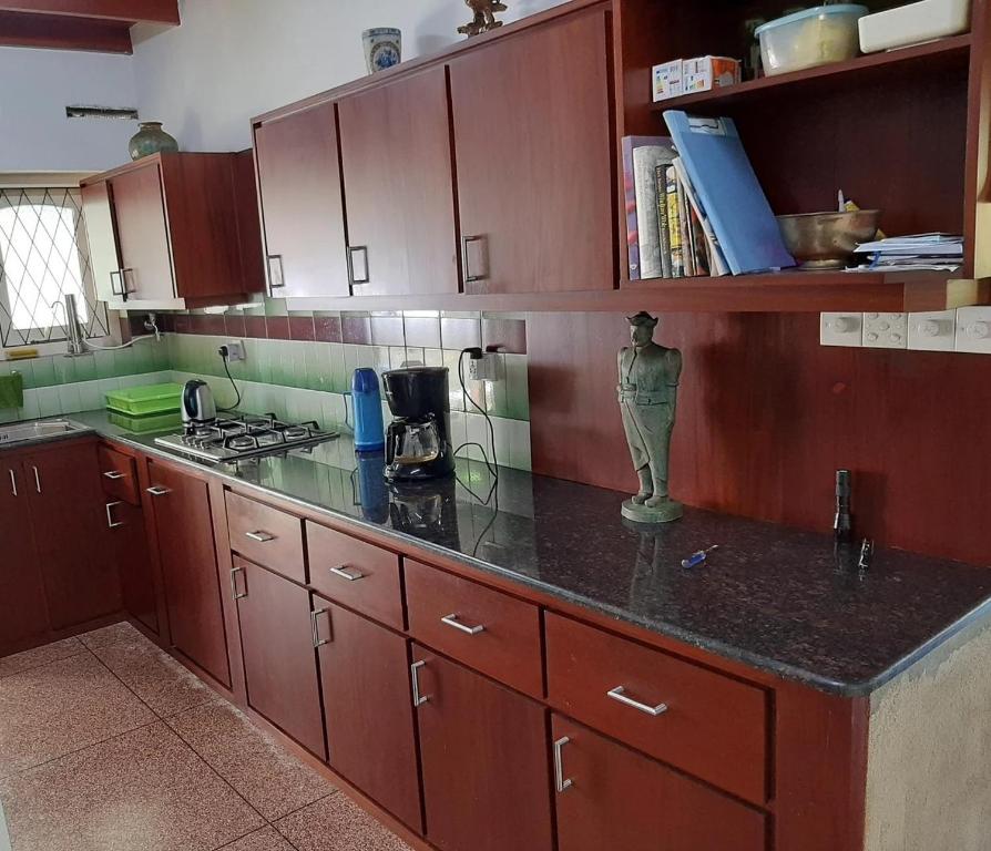 ヒッカドゥワにある101 Sterrling Villa - Private room 1の木製のキャビネットとカウンタートップを備えたキッチン