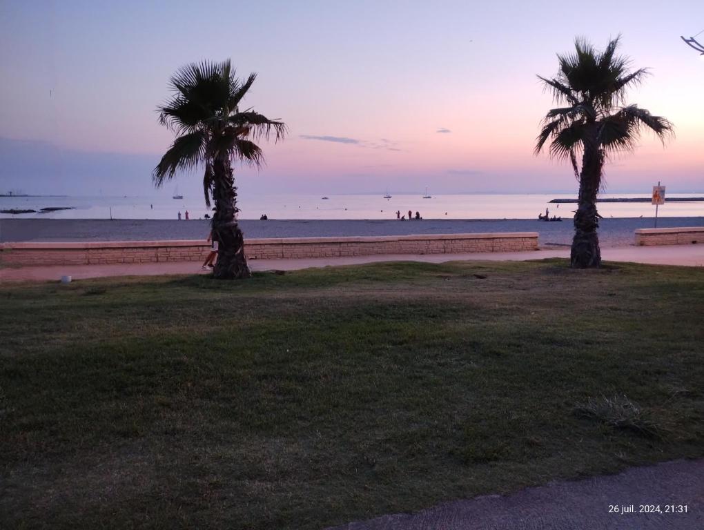 - deux palmiers sur la plage au coucher du soleil dans l'établissement Vela Aurea, Studio 4 couchages en rez de jardin, avec terrasse et parking, à 500m de la plage, au Grau-du-Roi