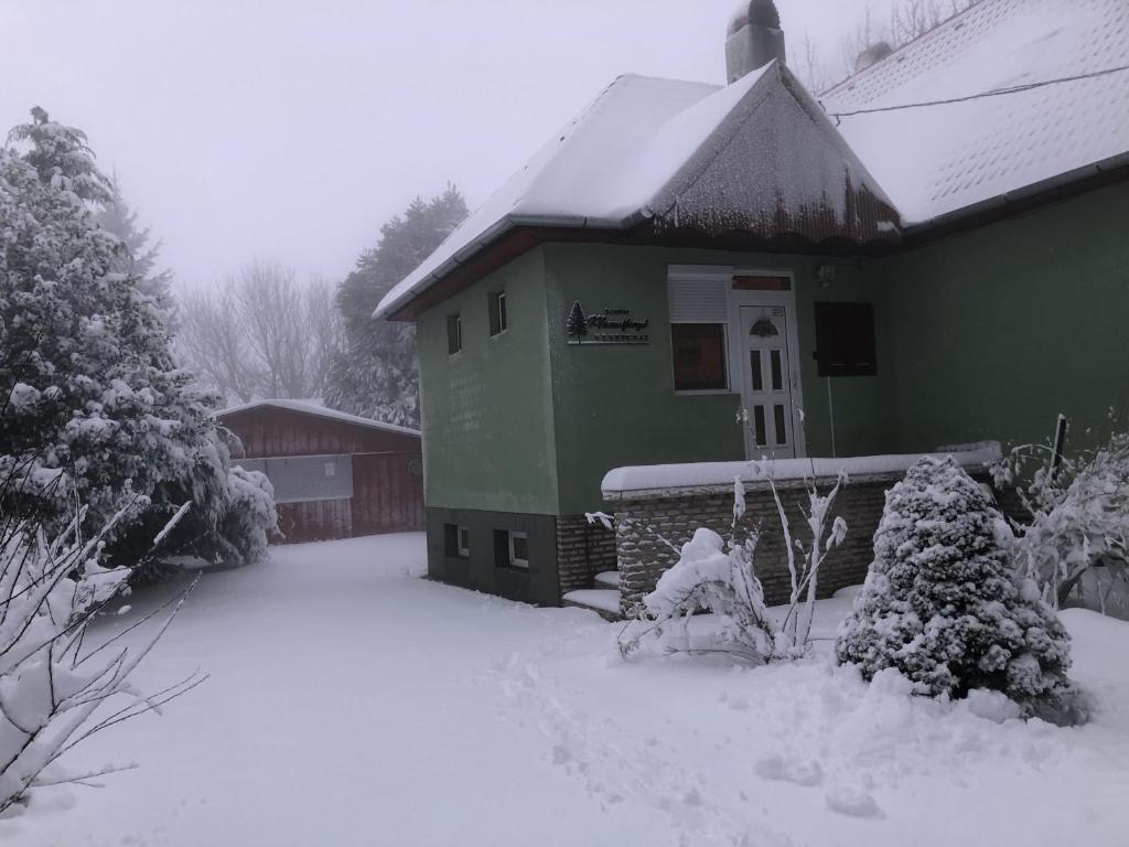 Bakonyi Mamutfenyő Vendégház during the winter