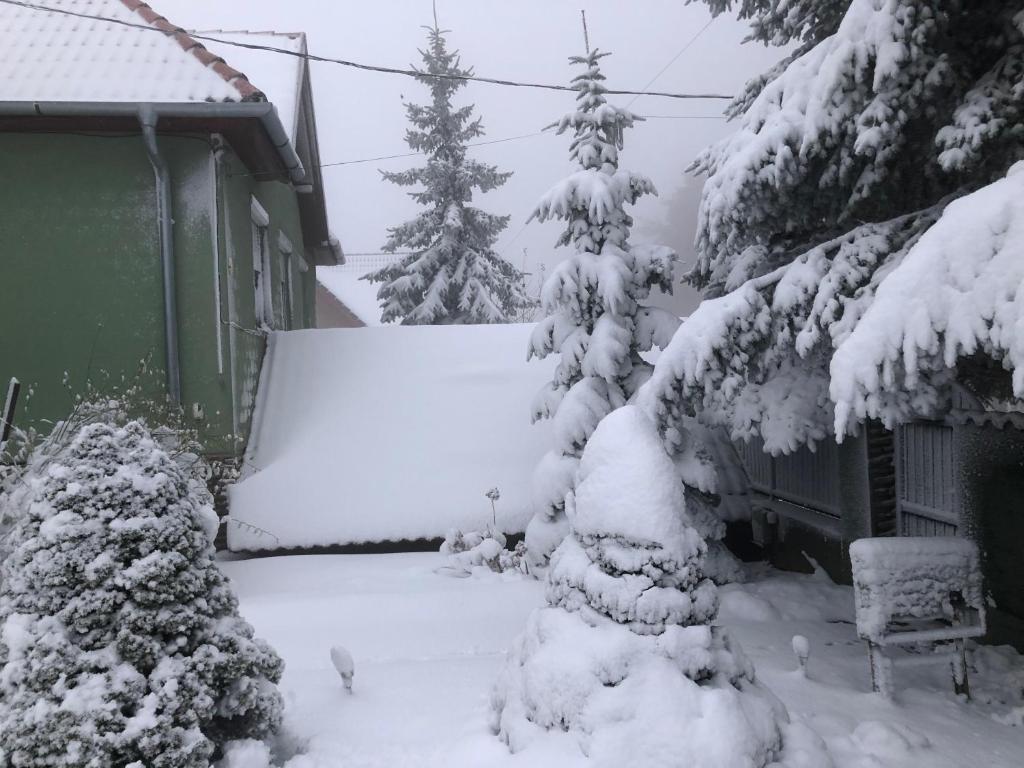 Bakonyi Mamutfenyő Vendégház during the winter