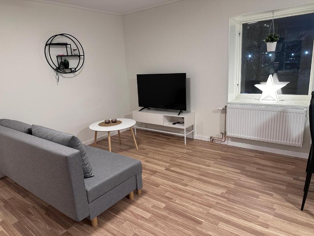 TV a/nebo společenská místnost v ubytování Hotell Silverborgen