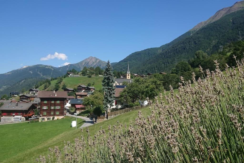 Příroda nedaleko apartmánu