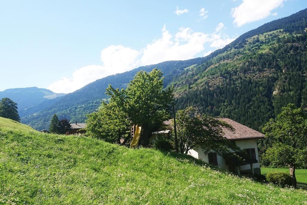 Příroda nedaleko apartmánu