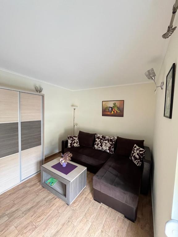 Prostor za sedenje u objektu Apartmani Radoičić