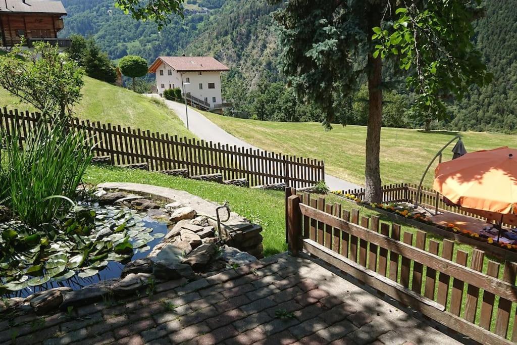 Příroda nedaleko apartmánu