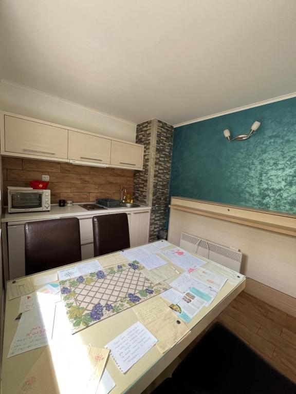 Kuhinja ili čajna kuhinja u objektu Apartmani Radoičić