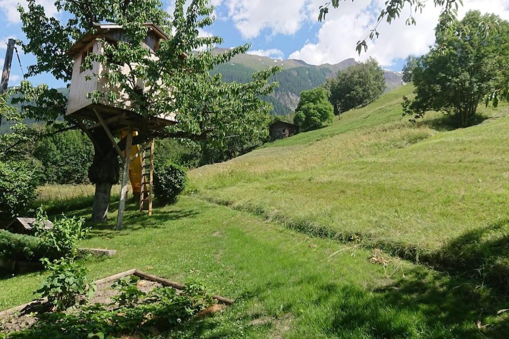 Příroda nedaleko apartmánu