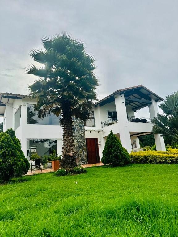 una palmera delante de una casa en Lujosa casa cerca al aeropuerto, en Medellín