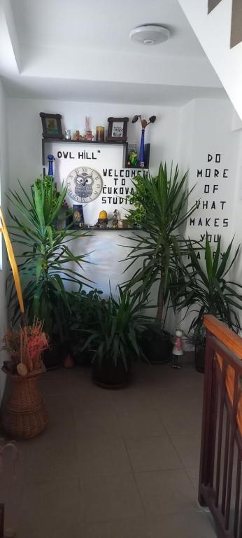 a room with plants and signs on the wall at Ćukovac studios in Belgrade