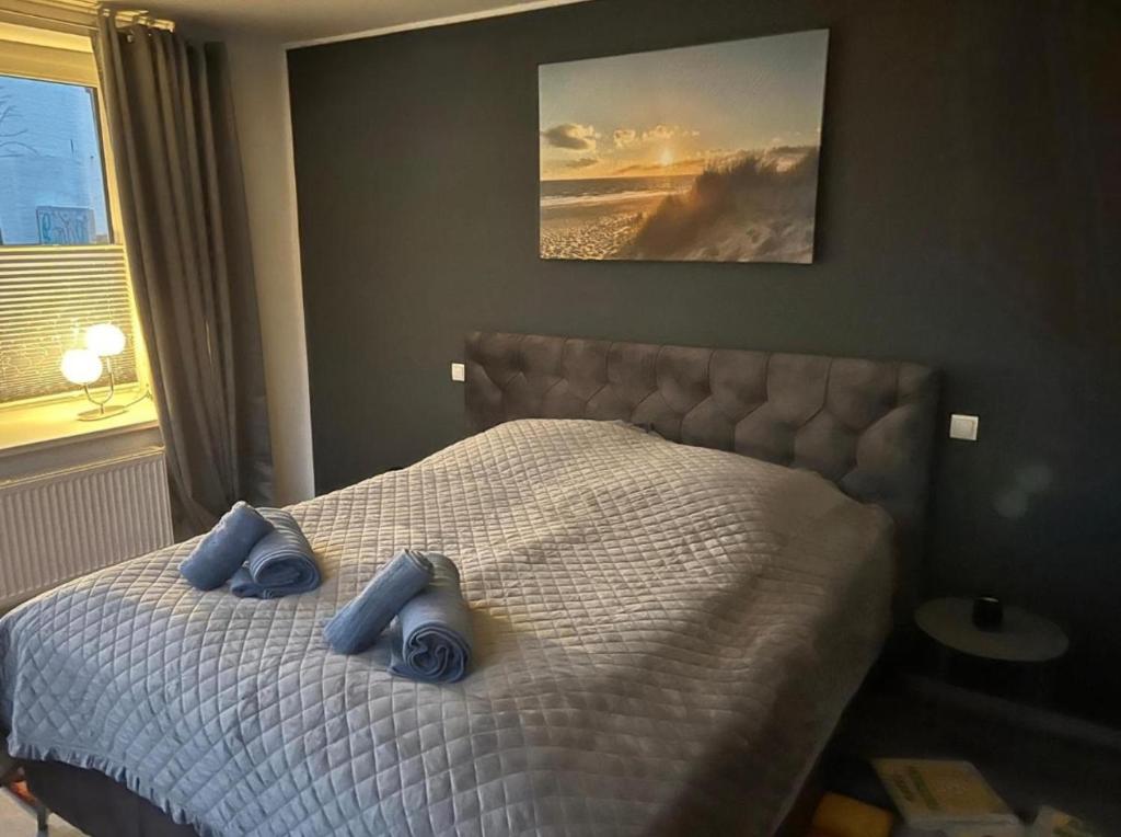 a bedroom with a bed with two blue pillows on it at Ferienwohnung Schleswig Friedrichsberg Nähe von Schlei in Schleswig