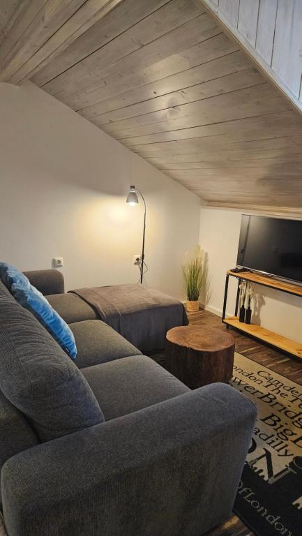 TV a/nebo společenská místnost v ubytování Studio apartman Gradna