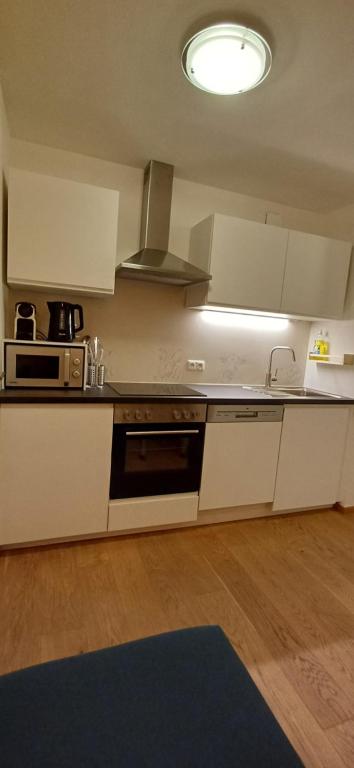 Kuchyň nebo kuchyňský kout v ubytování Egon's Home - Urlauben in Top Lage
