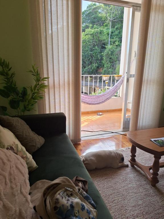 pies leżący na podłodze obok kanapy w salonie w obiekcie Apartamento Gracioso ao lado do Parque das Águas w mieście Caxambu
