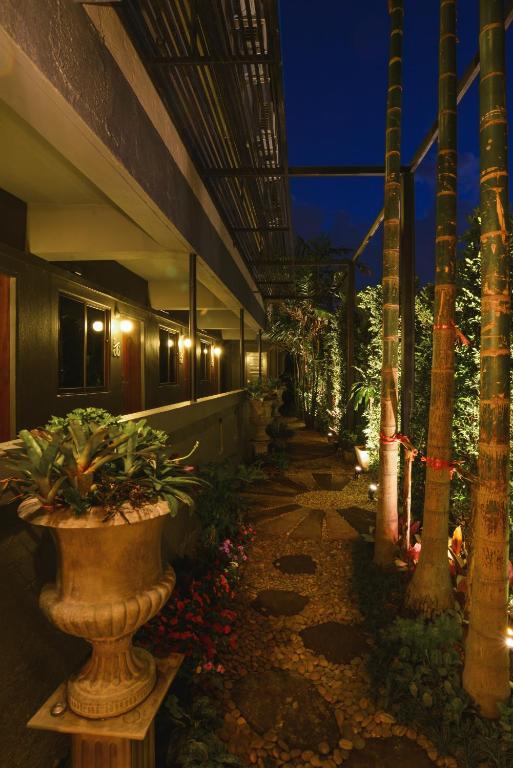 Cozy Inn Chiang Mai - Resim 37