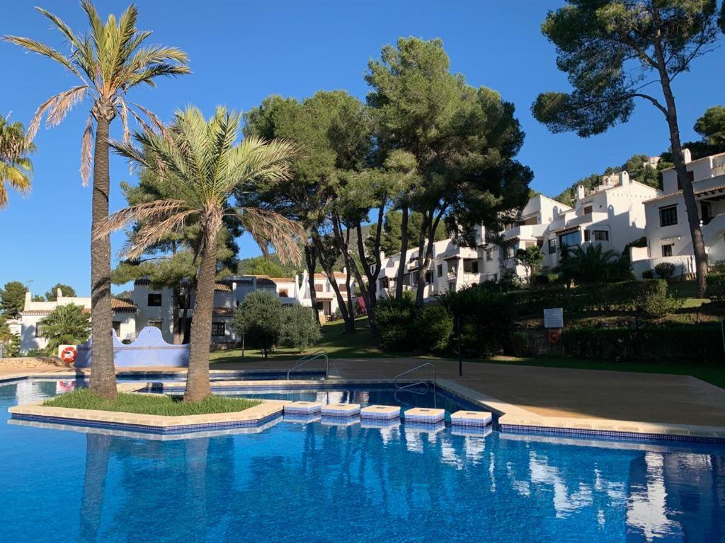 een groot zwembad met palmbomen en huizen bij Casita Leo in Teulada