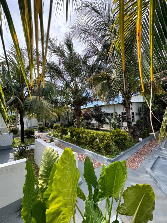 Zahrada ubytování Varadero Zanzibar Hotel