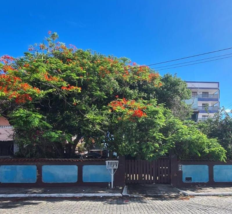 a tree with red flowers on top of a fence at Linda Saquarema in Saquarema