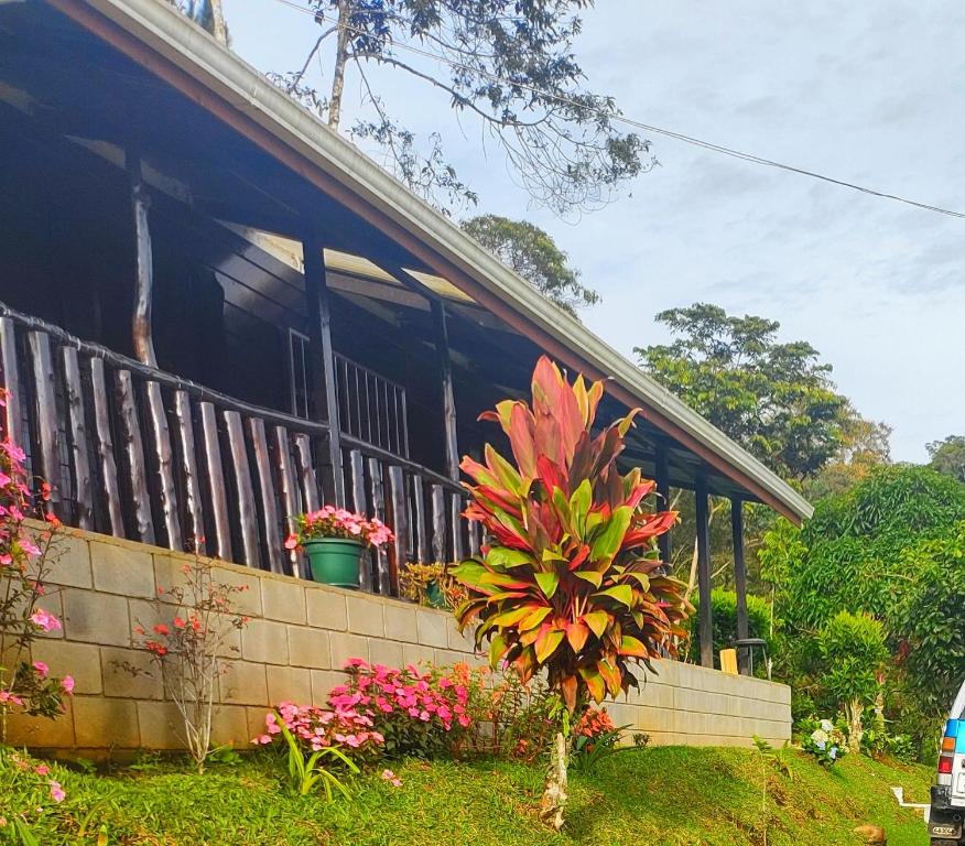 Fotografie z fotogalerie ubytování Toucan Mountain Rest v destinaci Jicotea