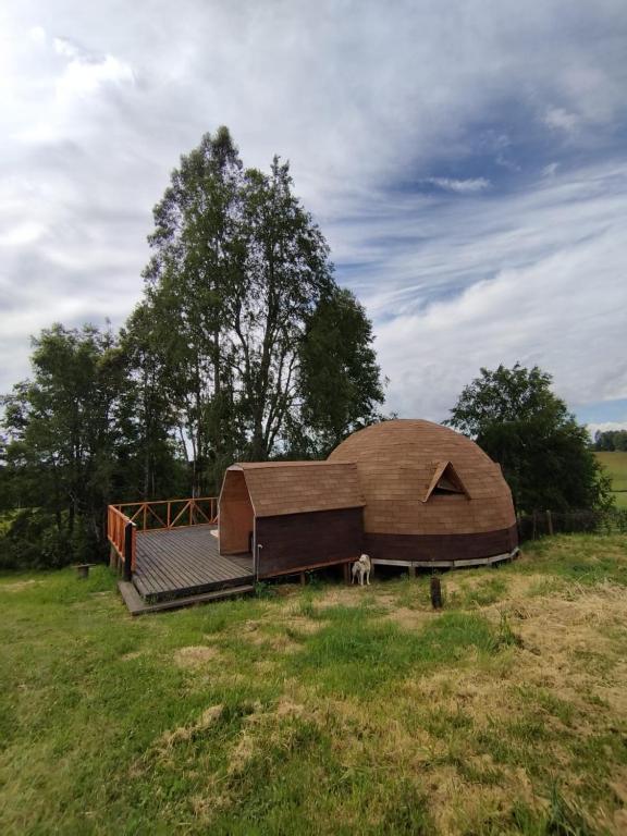 Fotografie z fotogalerie ubytování Hostal & Domos Bello Horizonte v destinaci Villarrica