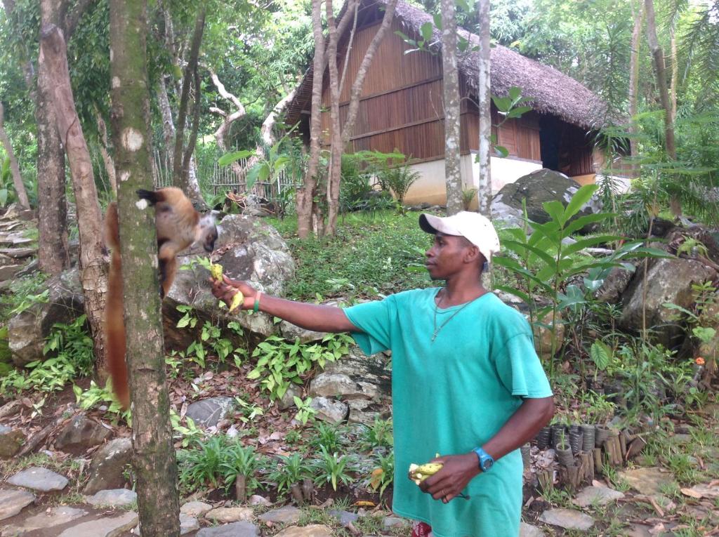 a man standing in front of a monkey in a forest at Coco Komba Lodge in Nosy Komba
