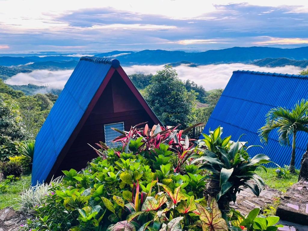 a small house with a blue roof and some plants at อุกฤษฟาร์มฮิลล์ ภูชี้ฟ้า in Thoeng