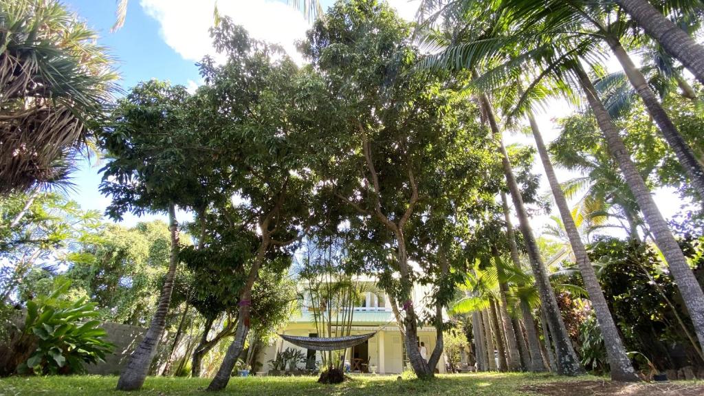 Zahrada ubytování COLIVER - COLIVING A LA RÉUNION