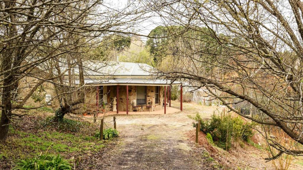 a small house in the middle of a forest at Honeycomb Lodge in Daylesford