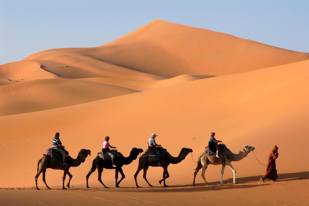 a group of people riding camels in the desert at Auberge Chez Julia in Merzouga