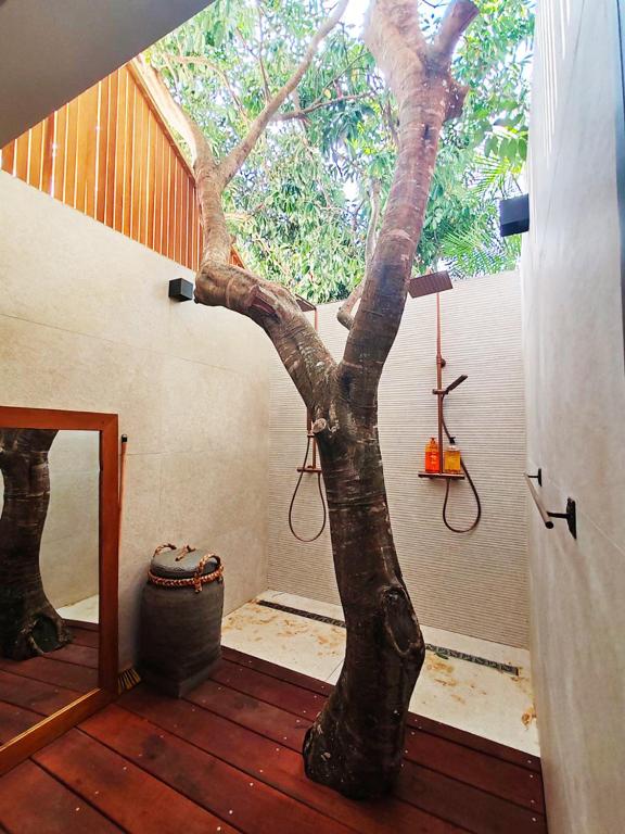 Fotografie z fotogalerie ubytování COLIVER - COLIVING A LA RÉUNION v destinaci Saint-Pierre