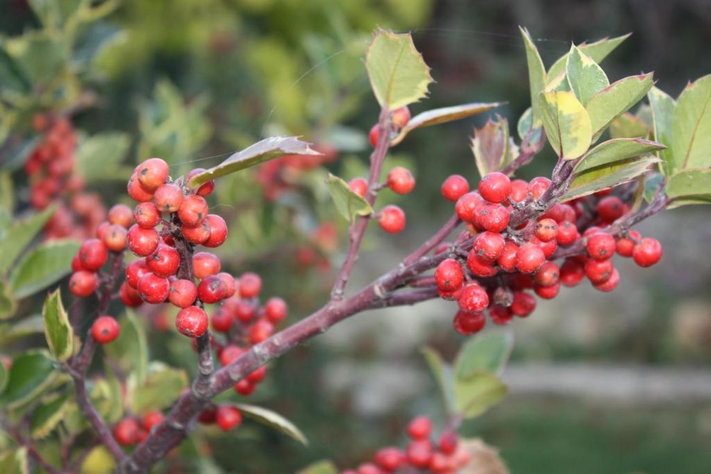 Derechos de imagen reservados por Booking.com