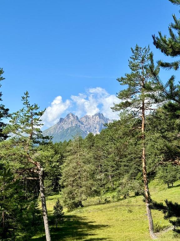 Příroda nedaleko apartmánu