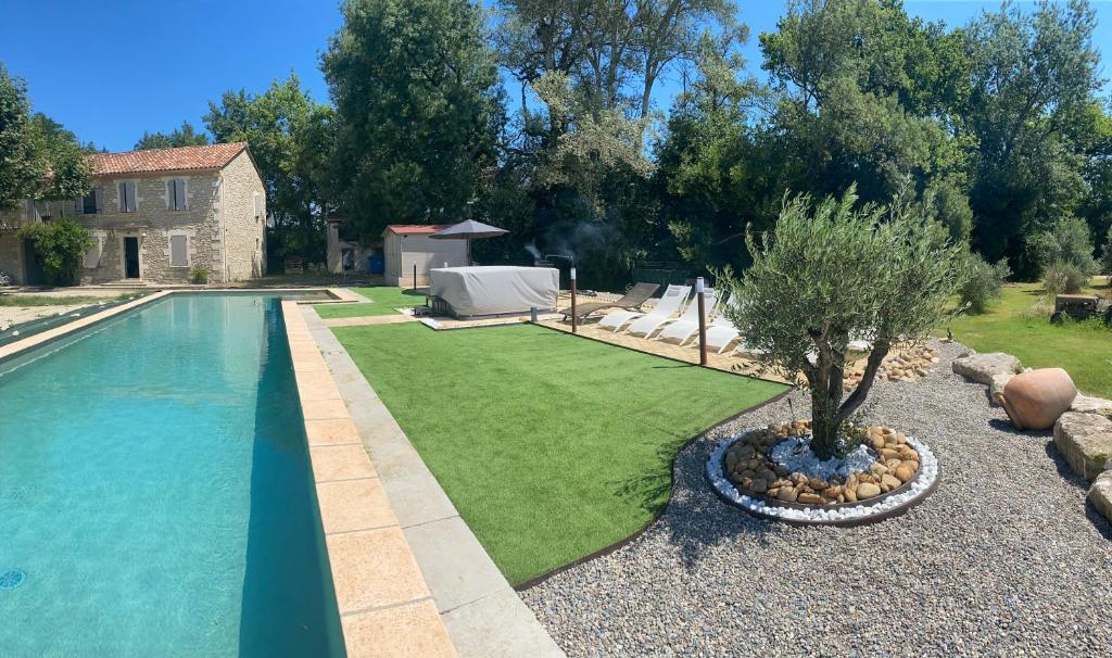 une piscine avec un arbre dans une cour dans l'établissement MASAPIER, à Avignon