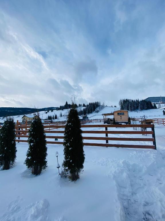 La Casuta din Ciocanesti Art - Twee Slaapkamers Huis