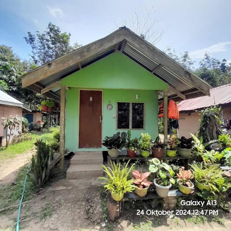 Photo from Sukau Sandipau Stay in Kinabatangan, Sabah, Malaysia